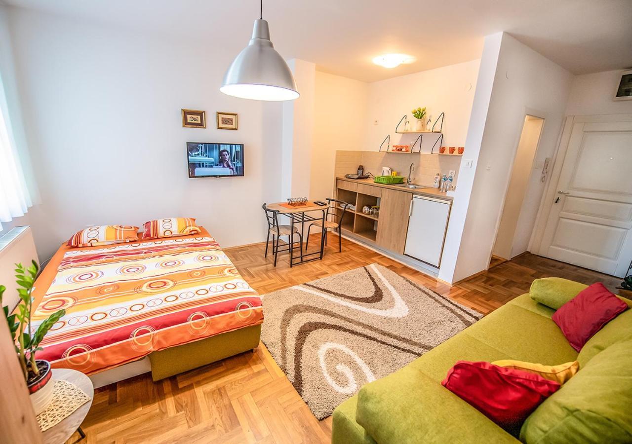 Mina Penthouse Διαμέρισμα Νόβι Σαντ Εξωτερικό φωτογραφία